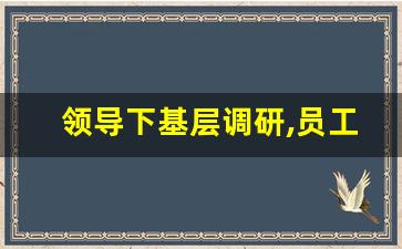 领导下基层调研,员工怎么发言_领导调研 基层如何发言